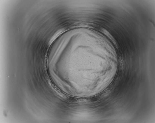X0000100191002200806201353