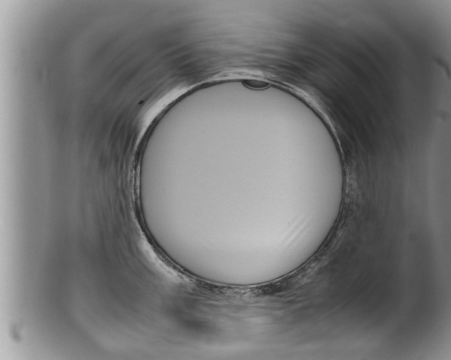 X0000100191003200806201353