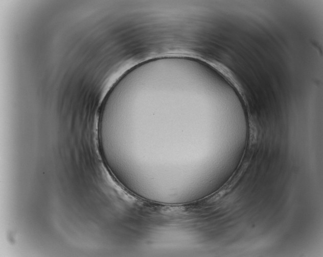 X0000100191006200806201353