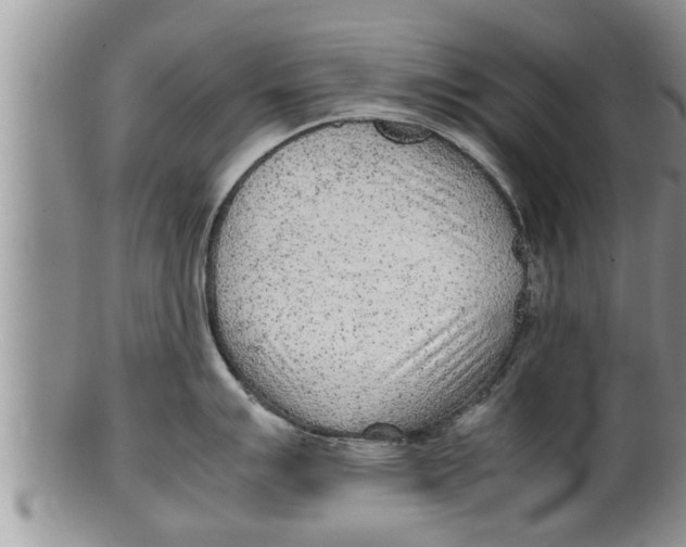 X0000100191007200806201353