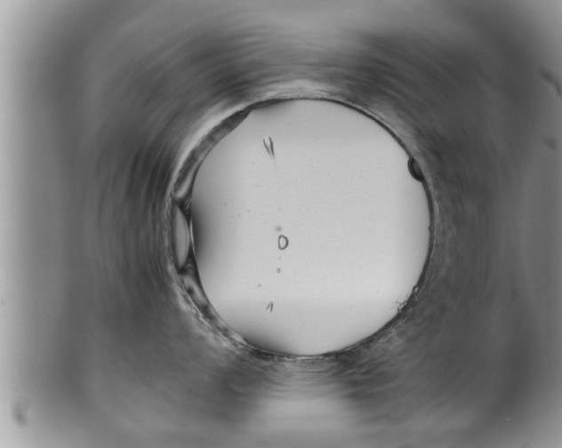 X0000100191008200806201353