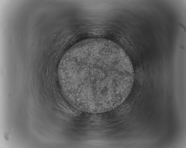 X0000100191009200806201353