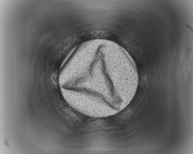 X0000100191010200806201353