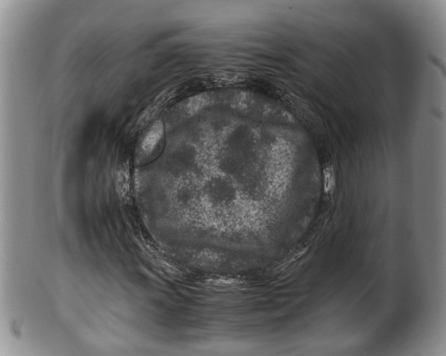 X0000100191011200806201353