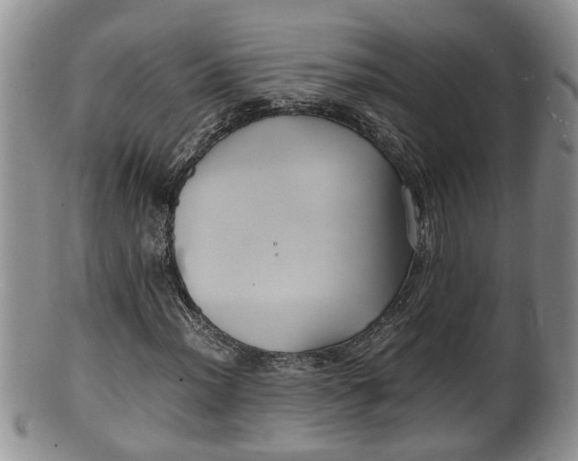 X0000100191012200806201353