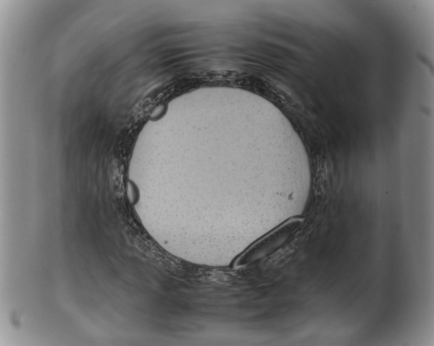 X0000100191013200806201353