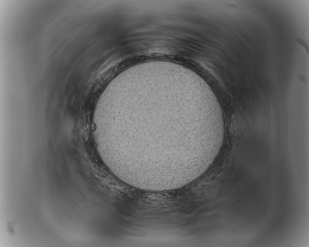 X0000100191015200806201353