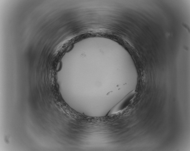 X0000100191016200806201353