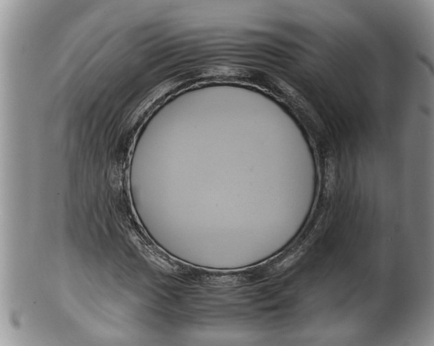 X0000100191017200806201353