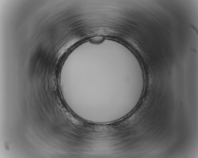X0000100191018200806201353
