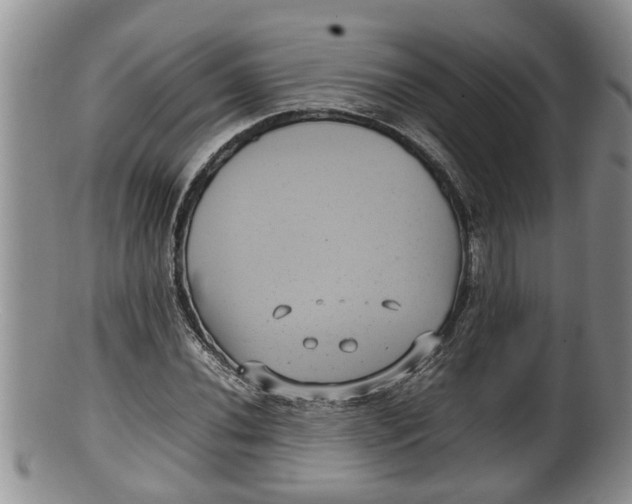 X0000100191020200806201353