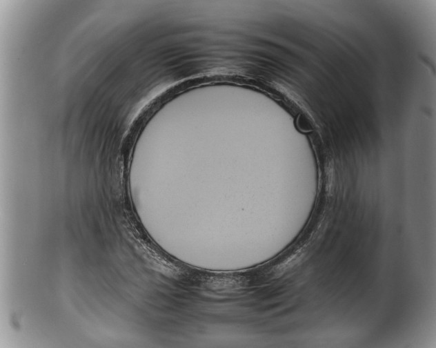 X0000100191021200806201353