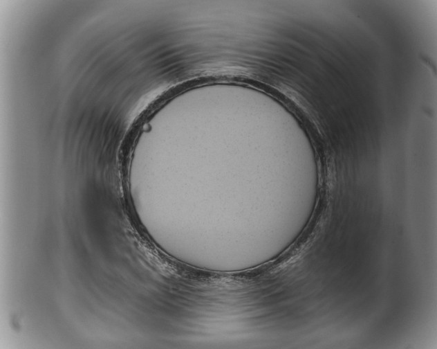 X0000100191022200806201353