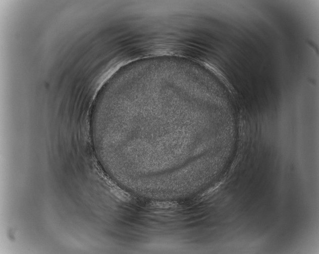 X0000100191023200806201353
