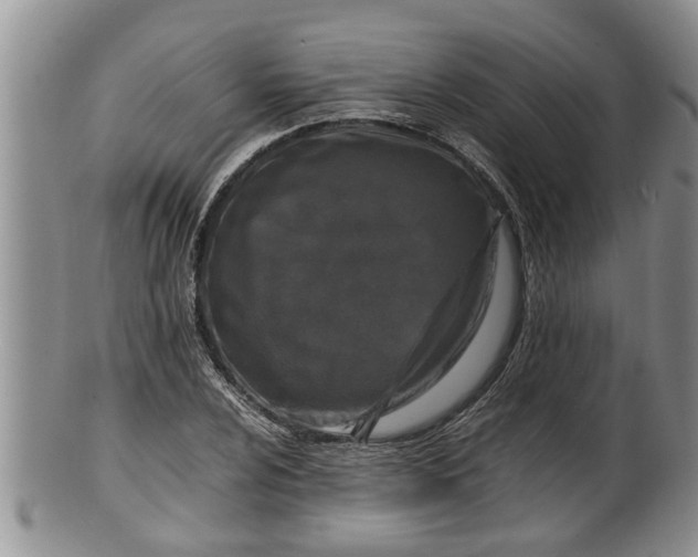 X0000100191024200806201353