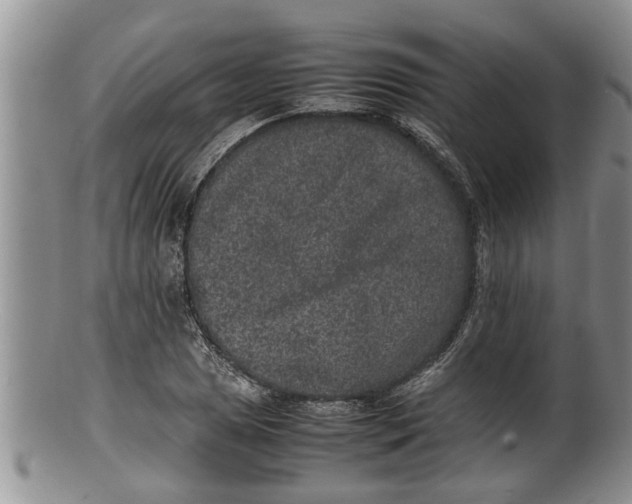 X0000100191025200806201353