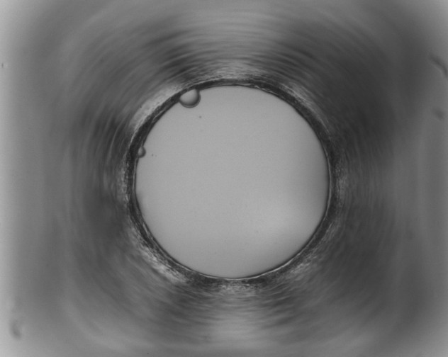 X0000100191026200806201353