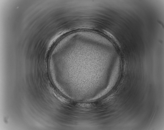 X0000100191027200806201353