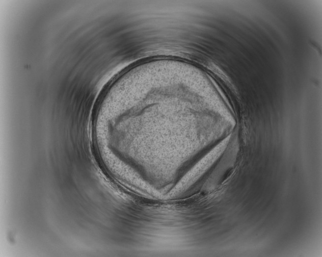 X0000100191028200806201353