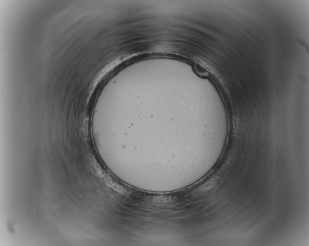 X0000100191029200806201353