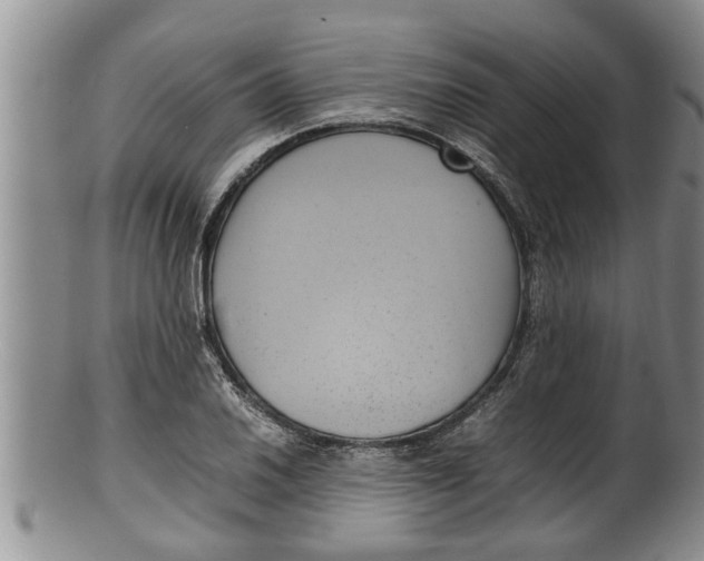 X0000100191030200806201353