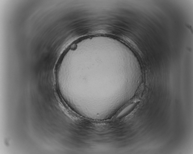X0000100191031200806201353
