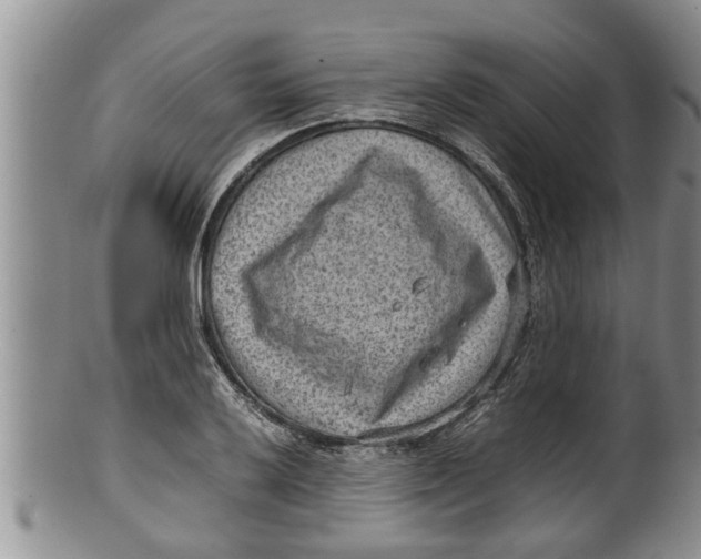 X0000100191032200806201353