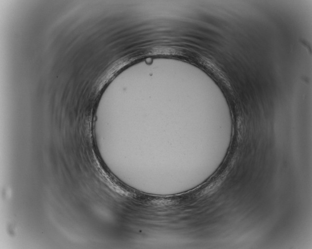 X0000100191033200806201353