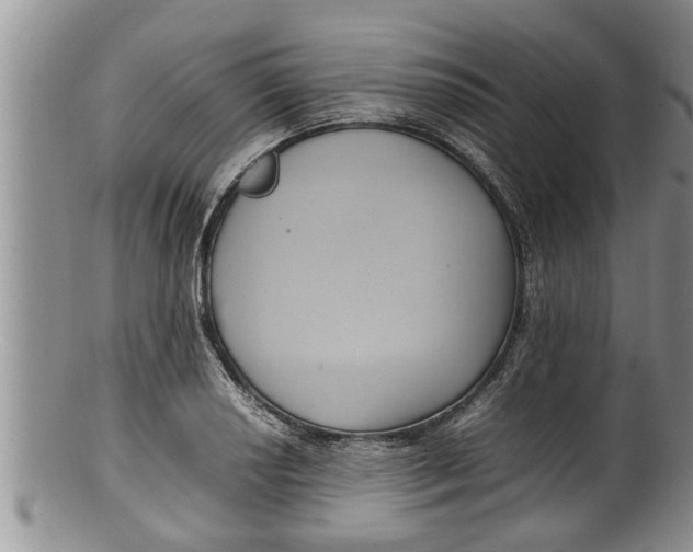 X0000100191034200806201353