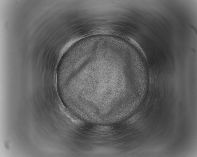 X0000100191035200806201353