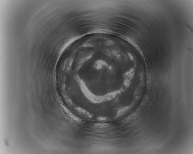 X0000100191037200806201353