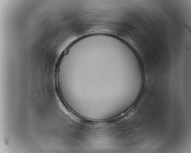 X0000100191038200806201353