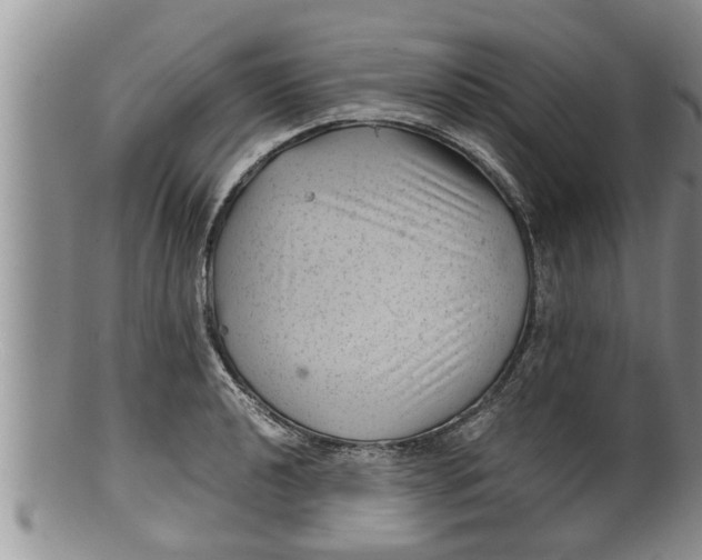 X0000100191040200806201353