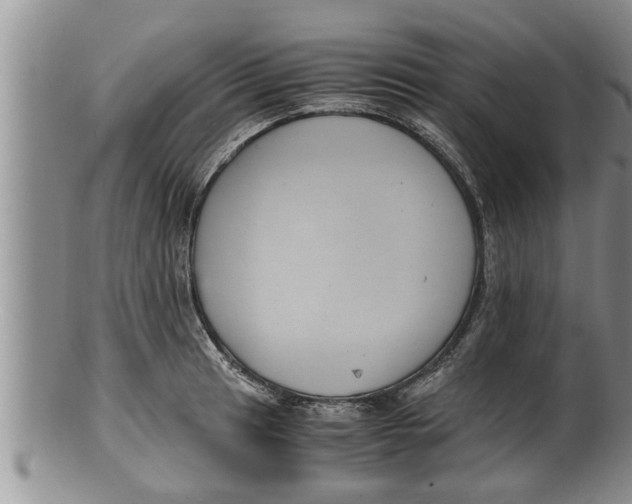 X0000100191041200806201353