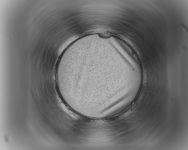 X0000100191042200806201353
