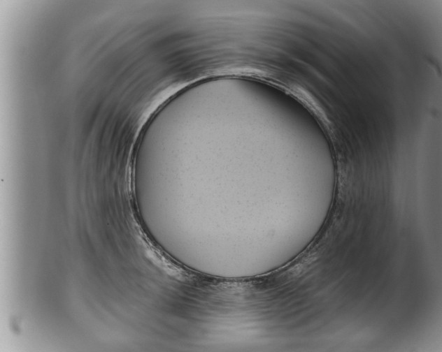 X0000100191044200806201353