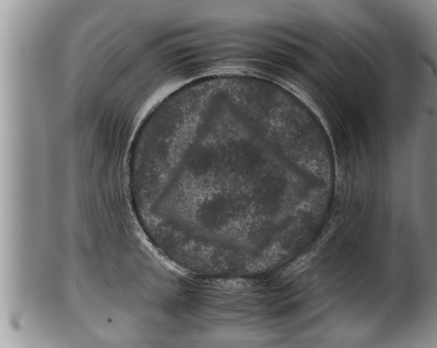 X0000100191045200806201353