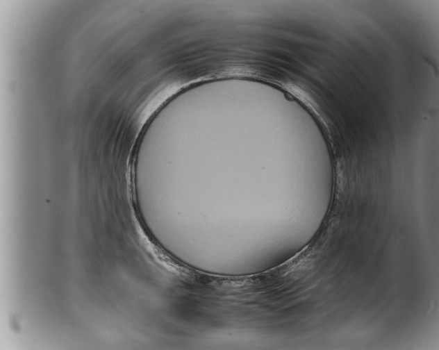 X0000100191047200806201353