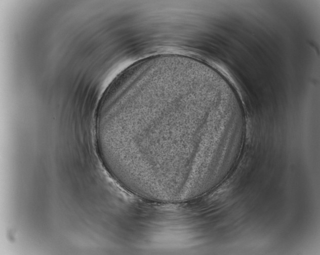 X0000100191048200806201353