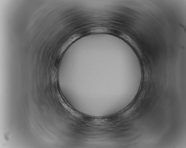 X0000100191049200806201353