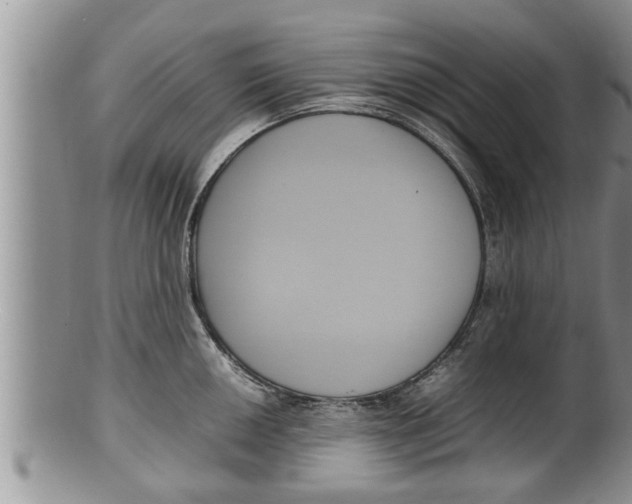 X0000100191050200806201353