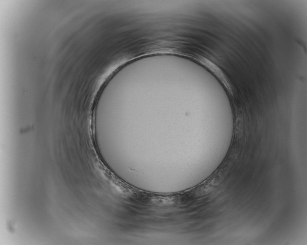 X0000100191051200806201353