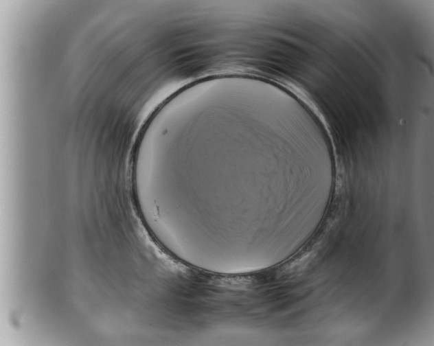 X0000100191053200806201353