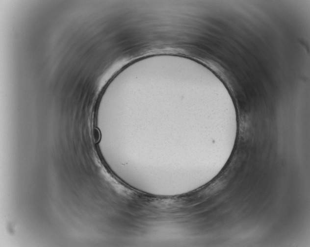 X0000100191054200806201353