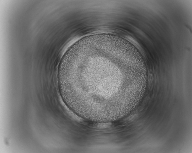 X0000100191055200806201353