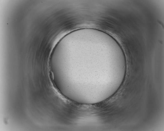 X0000100191056200806201353