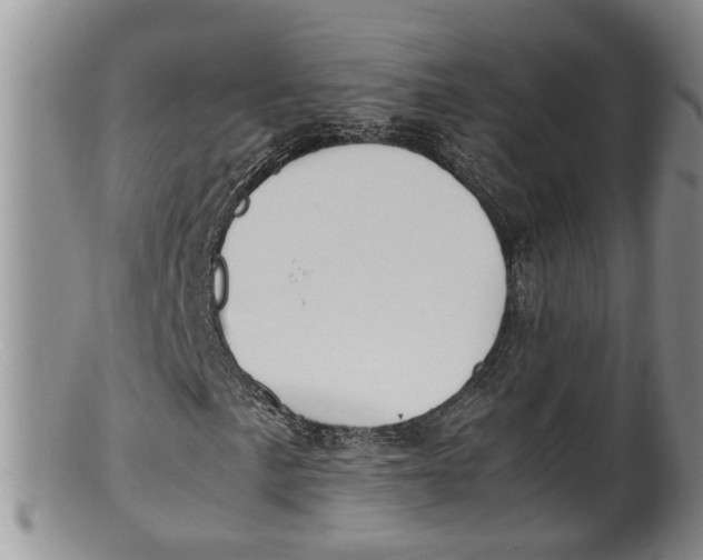 X0000100191057200806201352