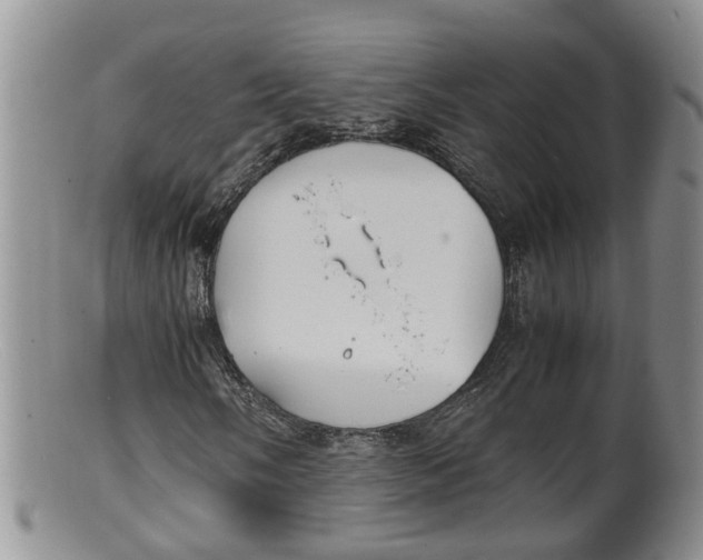 X0000100191058200806201352