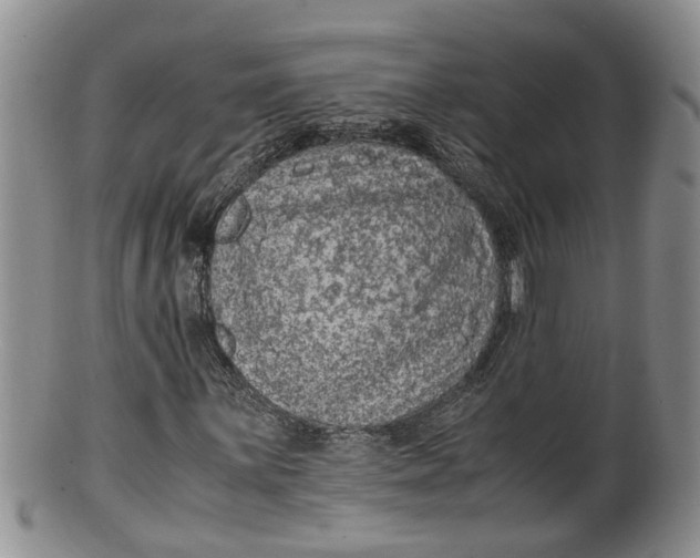 X0000100191059200806201352