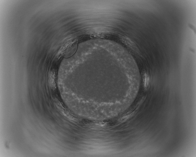 X0000100191060200806201352